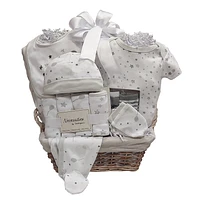 Baby Neutral Gift Basket