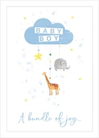 "Baby Boy, A bundle of joy..." Card