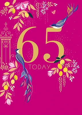 65 today – Bird Greeting Card