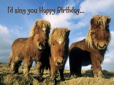 Horse Sing You Birthday Card