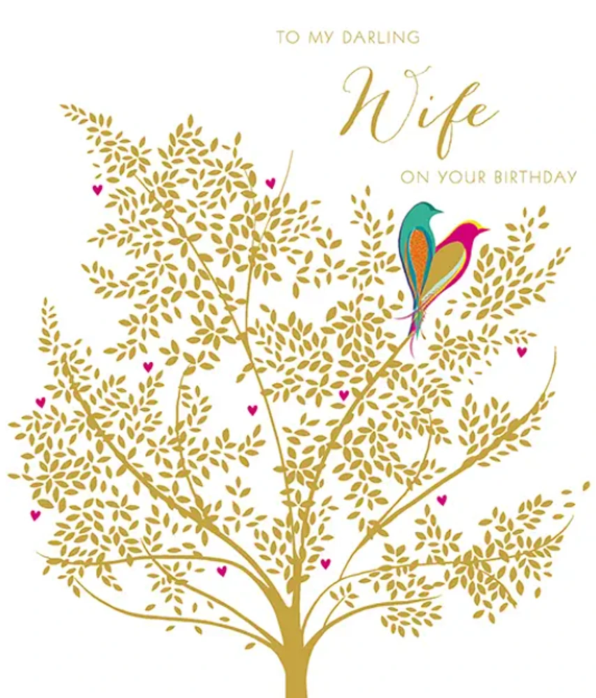 To My Darling Wife on Her Birthday Card