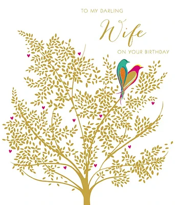To My Darling Wife on Her Birthday Card