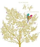 To My Darling Wife on Her Birthday Card