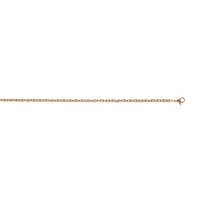 Rose Gold Finish Chain 22"