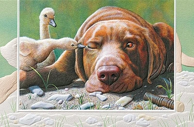 Pecking Order Thinking of You Card