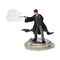 Wizarding World of Harry Potter - Tom Riddle