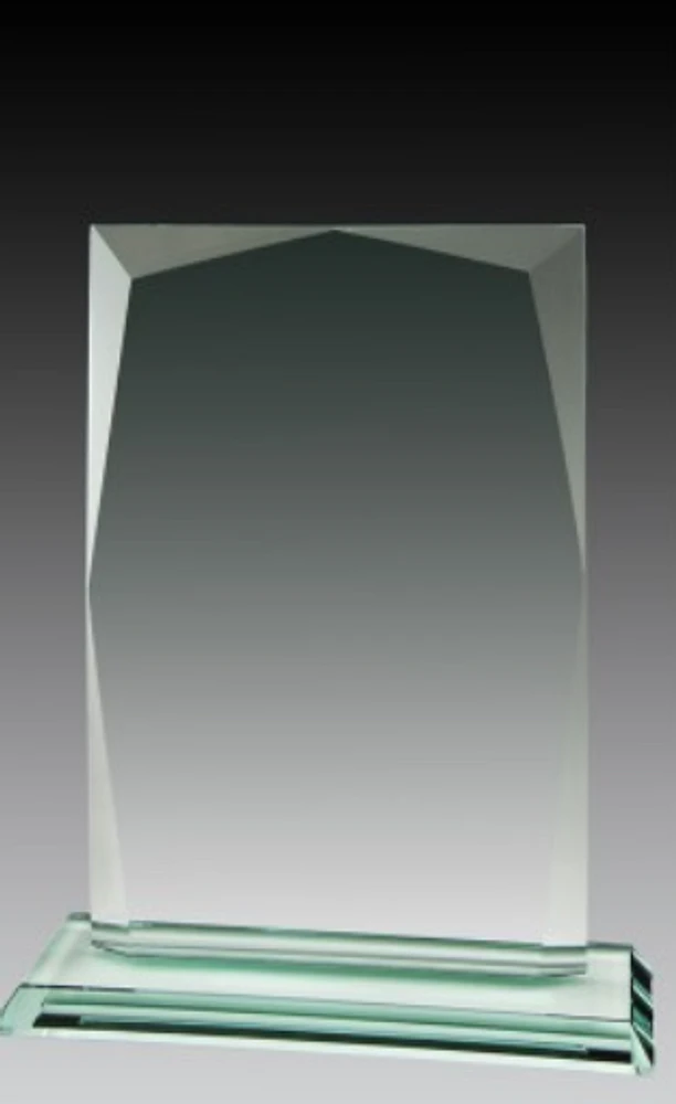 Glass Rectangle Award