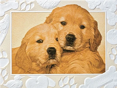 Good as Gold Individual Greeting Card