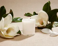 DJ x Apotheke White Magnolia Candle