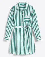 Carly Shirtdress Bold Green Stripe