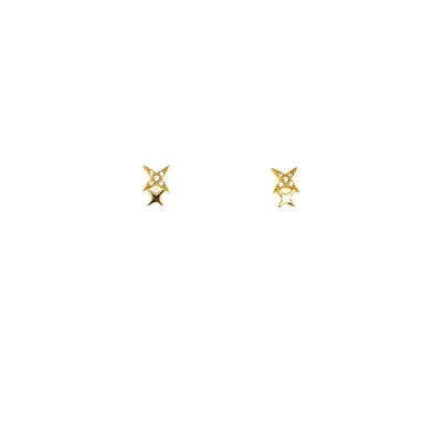 TWI STAR EARRINGS