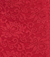 Arlowe Glitter Lace Corset Midi Dress