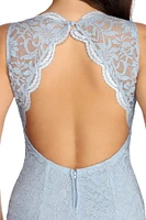 Cadence Formal Glitter Lace Dress