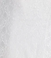 Kimora Lace Tulle A-Line Formal Dress