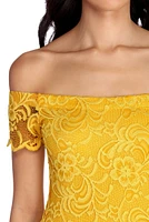 Lace Darling Mini Dress