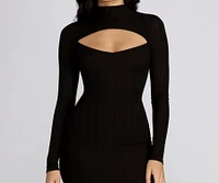 Ribbed Long Sleeve Knit Dress