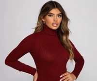 Knit Girl Turtleneck Mini Dress