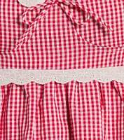 Life's A Picnic Sweetheart Lace Gingham Mini Dress