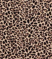 Elevated Leopard Print Woven A-Line Midi Dress