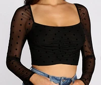 Polka Dot Princess Mesh Crop Top