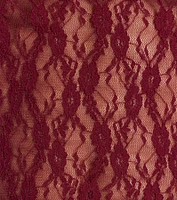 Sheerly Sultry V-Neck Lace Crop Top