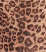 Forever Fierce Leopard Print and Bow Top
