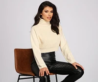 Basic Ribbed Knit Turtle Neck Sweater