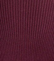 Chic Staple Ribbed Knit Skater Dress