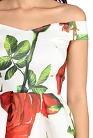 Briana Off The Shoulder Taffeta Dress