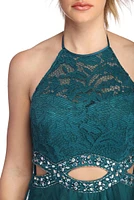 Sonia Lace Mesh Tendril Dress