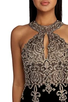 Jeanette Formal Velvet Applique Dress