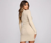 Basic Babe Ribbed Knit Mini Dress