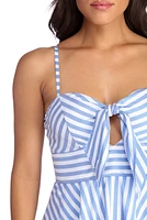 Sassy Stripes Skater Dress