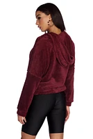 Comfy Cozy Plush Hoodie
