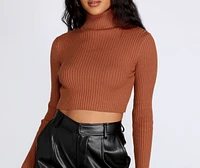Trendy Chic Turtleneck Sweater
