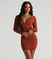 Step It Up Collared Mini Sweater Dress