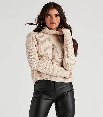 Autumn Air Turtleneck Knit Sweater
