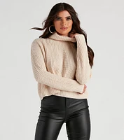 Autumn Air Turtleneck Knit Sweater