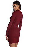 Zipped With Style Knit Dress