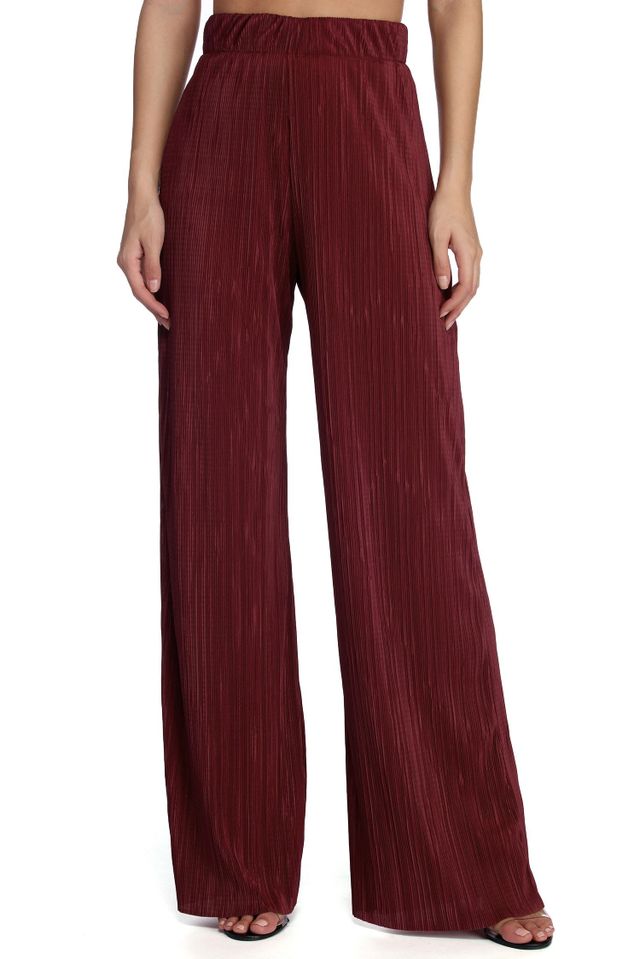 Mesh Wide-Leg Dress Pants, Regular & Petite Sizes