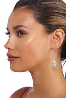 Cubic Zirconia Drop Earrings
