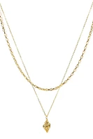 Double Row Conch Shell Necklace