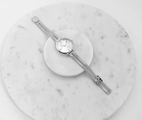 Time Flies Mesh Band Watch
