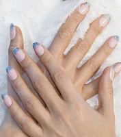 Pixie Dust Glitter Press On Nail Kit