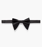 Butterfly Bow Tie