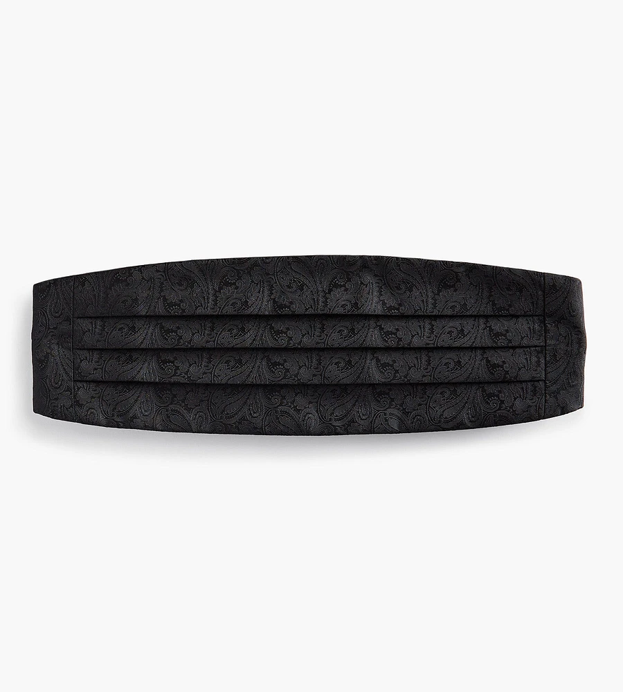 Paisley Cummerbund