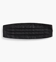Paisley Cummerbund