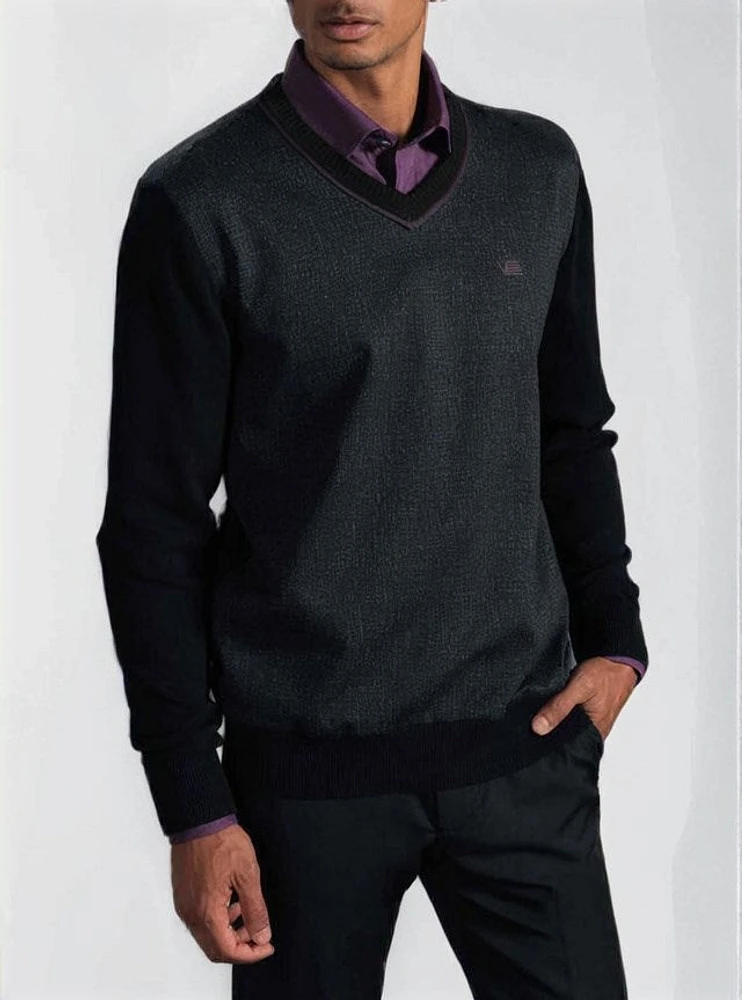 Men's v neck sweater