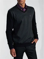 Men's v neck sweater