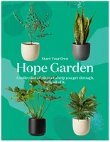 ‘Hope Garden’ Houseplant Bundle